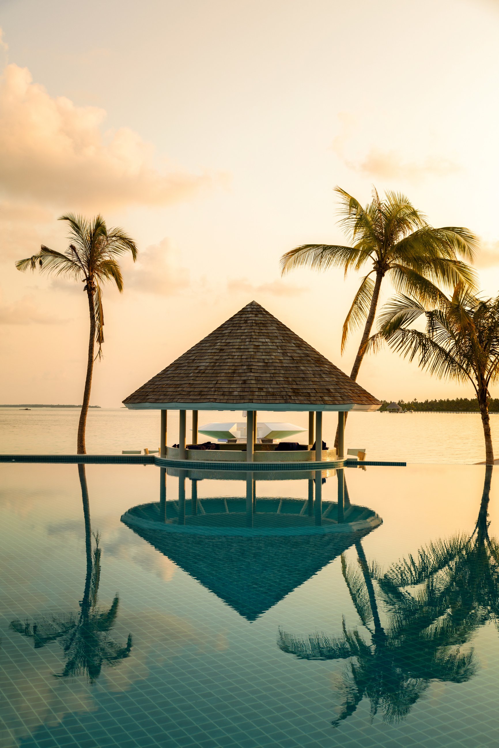 Bar Cafe and pool on a tropical beach, surrounded by palm trees in early morning  - travel background, vertical composition