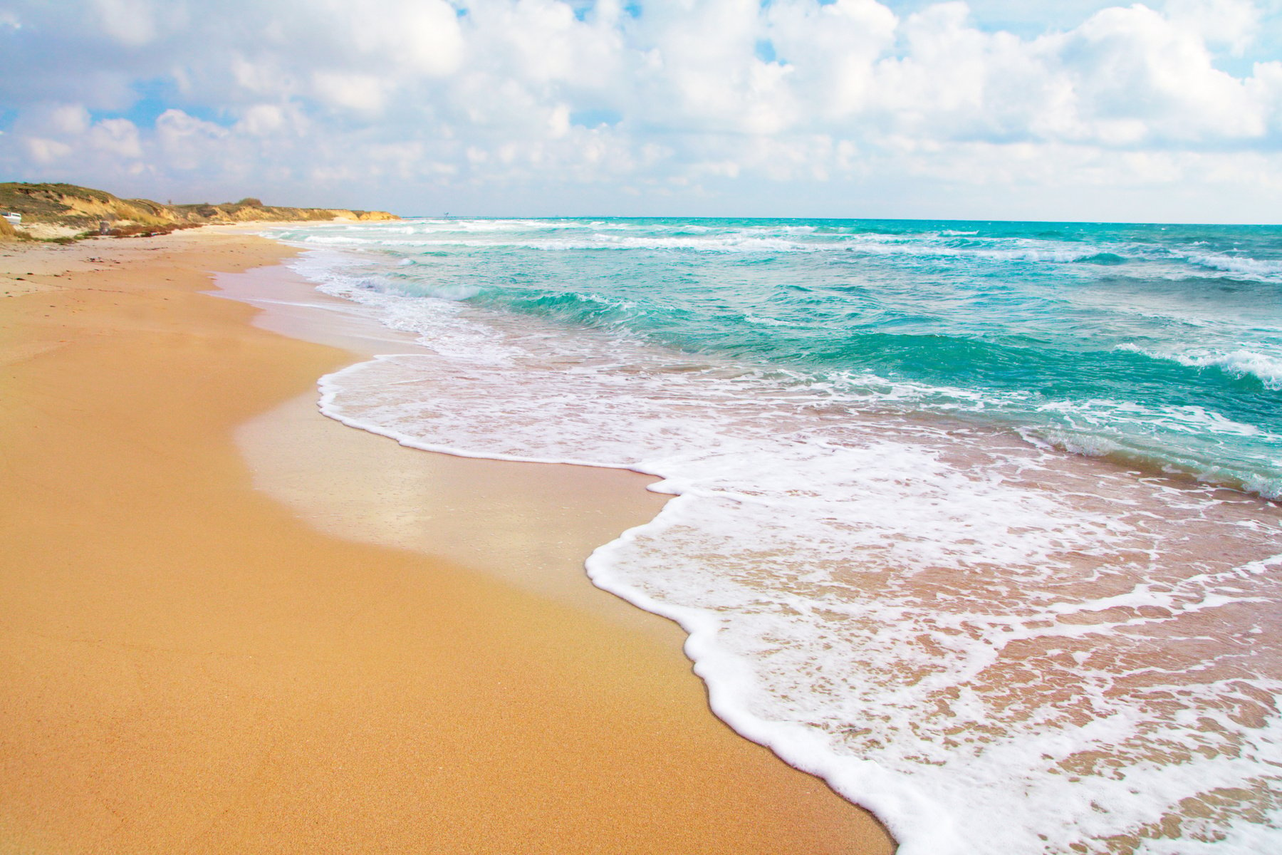 Ocean Wave on Coast